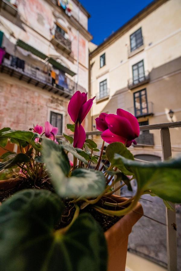 Terre Dipinte Bed and Breakfast Σαλέρνο Εξωτερικό φωτογραφία